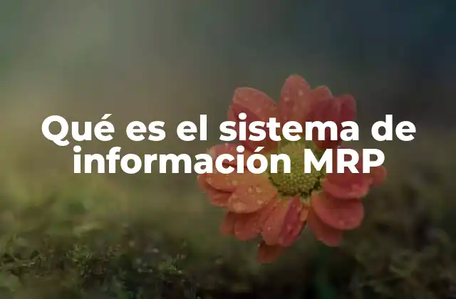 Qué es el Sistema de Información Mrp