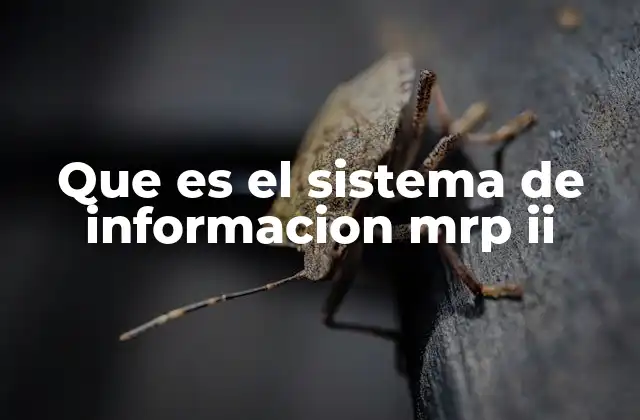 Que es el Sistema de Informacion Mrp Ii