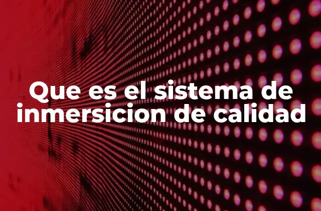 Que es el Sistema de Inmersicion de Calidad