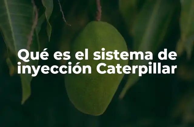 Qué es el Sistema de Inyección Caterpillar