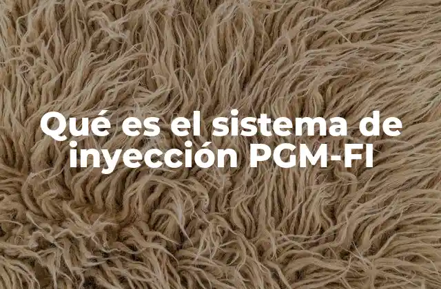 Qué es el Sistema de Inyección Pgm-fi