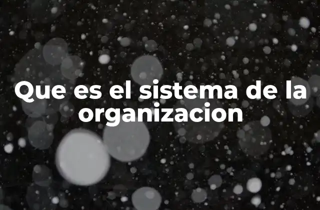 Que es el Sistema de la Organizacion