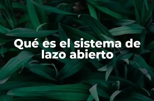 Qué es el Sistema de Lazo Abierto