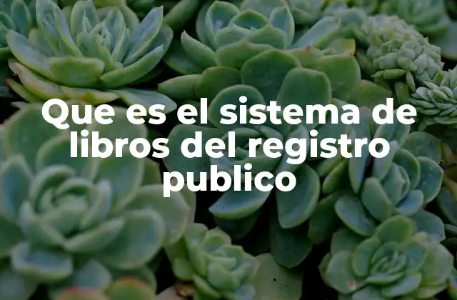 Que es el Sistema de Libros Del Registro Publico