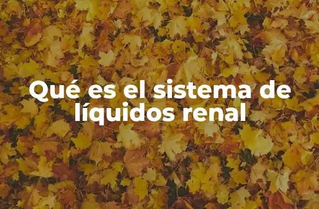 Qué es el Sistema de Líquidos Renal