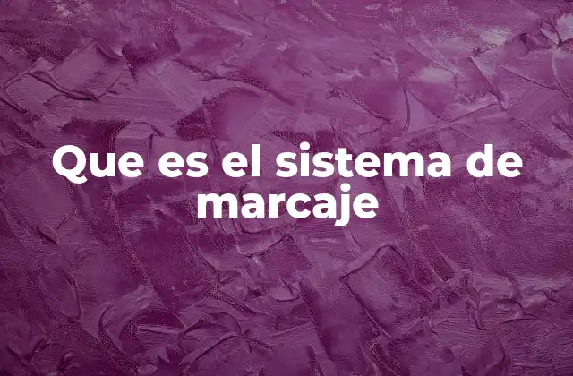 Que es el Sistema de Marcaje