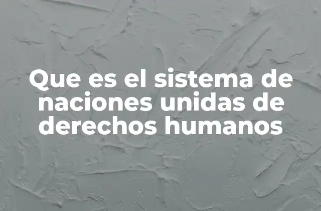 Que es el Sistema de Naciones Unidas de Derechos Humanos 2 La arquitectura institucional detrás del sistema de derechos humanos