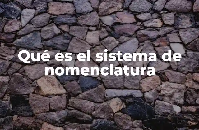 Qué es el Sistema de Nomenclatura