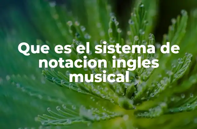 Que es el Sistema de Notacion Ingles Musical