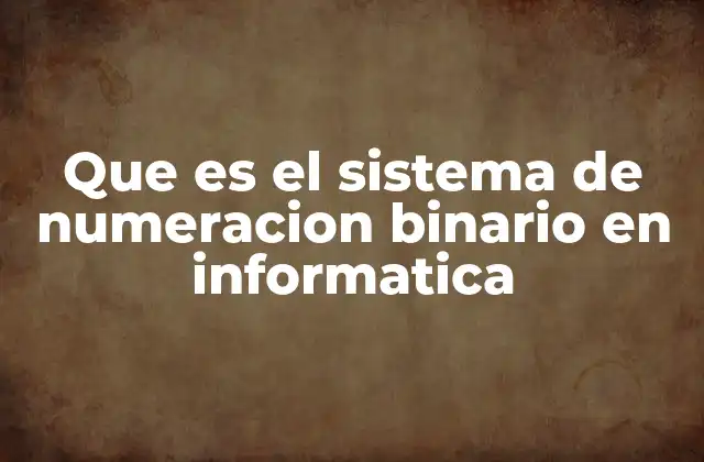 Que es el Sistema de Numeracion Binario en Informatica