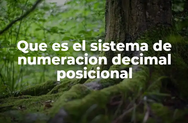 Que es el Sistema de Numeracion Decimal Posicional