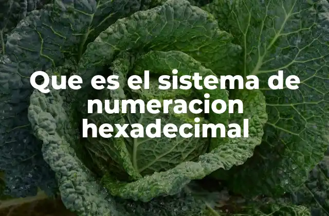 Que es el Sistema de Numeracion Hexadecimal