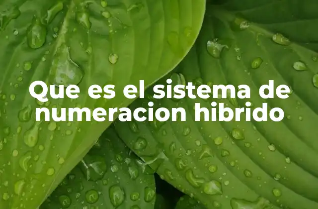 Que es el Sistema de Numeracion Hibrido
