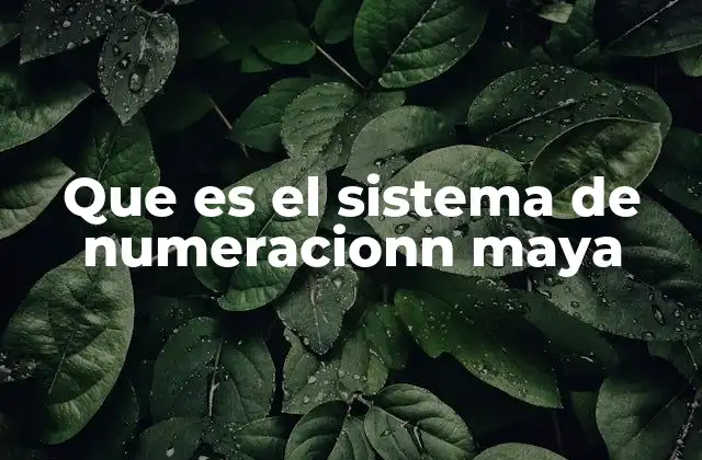Que es el Sistema de Numeracionn Maya
