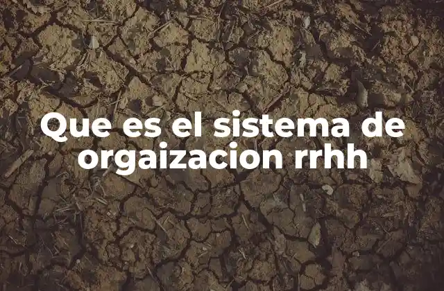Que es el Sistema de Orgaizacion Rrhh