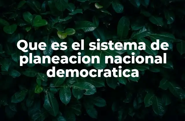 Que es el Sistema de Planeacion Nacional Democratica