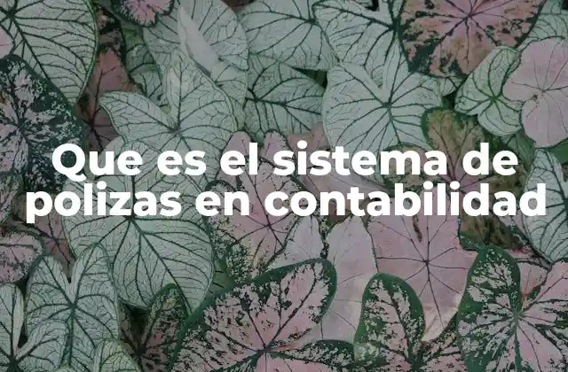 El rol del sistema de pólizas en la gestión contable
