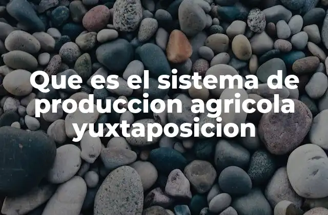 Que es el Sistema de Produccion Agricola Yuxtaposicion