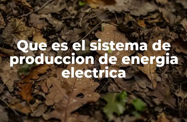 Que es el Sistema de Produccion de Energia Electrica