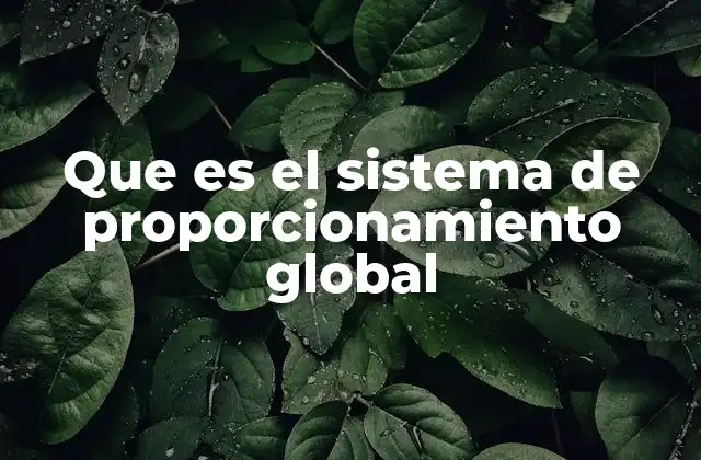 Que es el Sistema de Proporcionamiento Global 2 Cómo el abastecimiento internacional transforma las cadenas de suministro