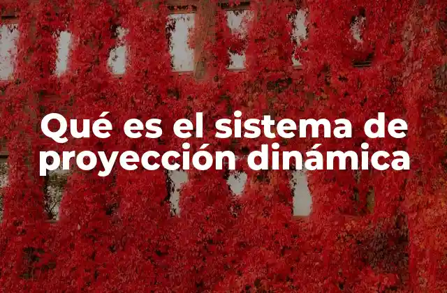 Qué es el Sistema de Proyección Dinámica