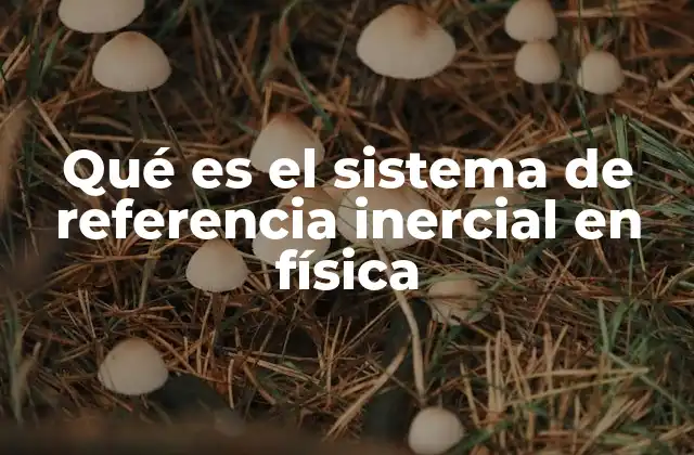 Qué es el Sistema de Referencia Inercial en Física