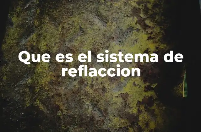 Que es el Sistema de Reflaccion