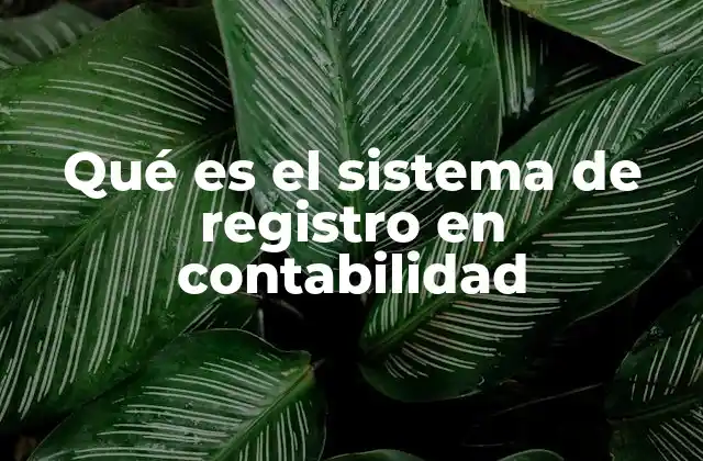 Qué es el Sistema de Registro en Contabilidad
