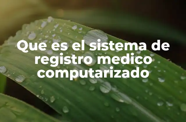 Que es el Sistema de Registro Medico Computarizado