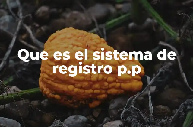 Que es el Sistema de Registro P.p