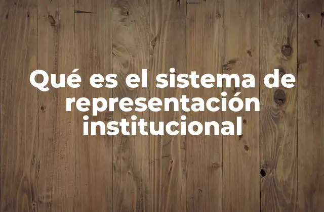 Qué es el Sistema de Representación Institucional