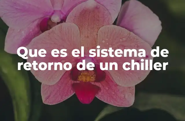 Que es el Sistema de Retorno de un Chiller