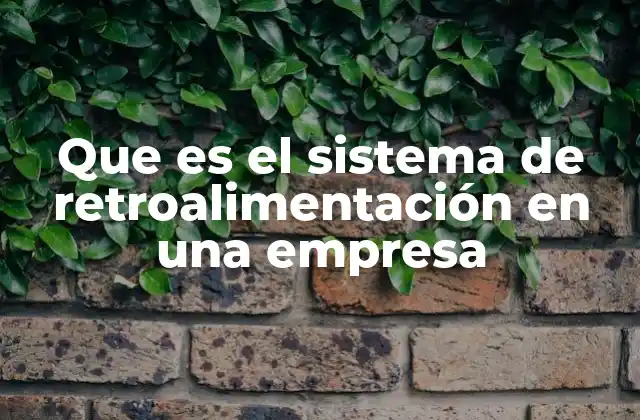 Que es el Sistema de Retroalimentación en una Empresa