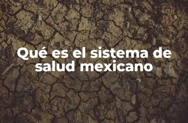La organización del sistema sanitario en México