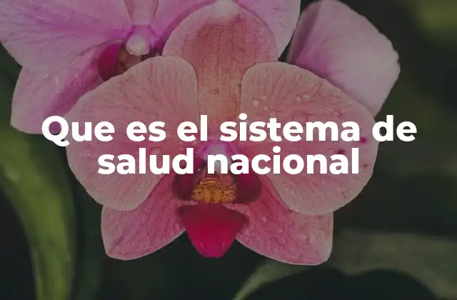 Que es el Sistema de Salud Nacional