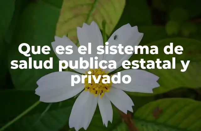 Que es el Sistema de Salud Publica Estatal y Privado