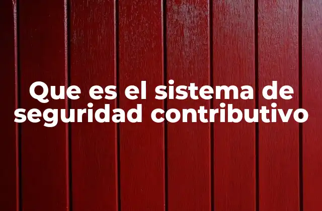 Que es el Sistema de Seguridad Contributivo
