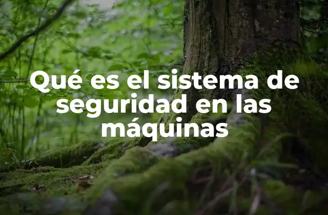 Qué es el Sistema de Seguridad en las Máquinas