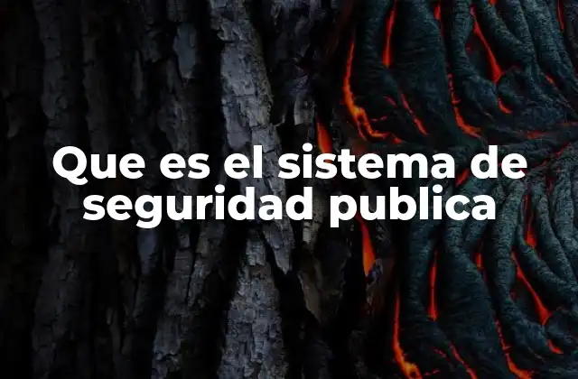Que es el Sistema de Seguridad Publica