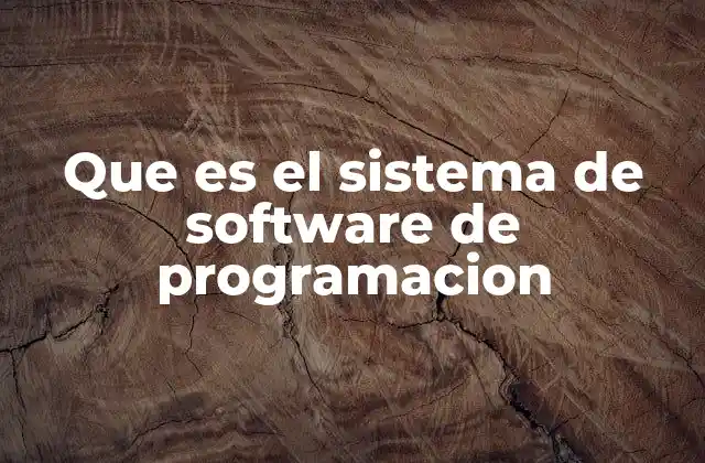 Que es el Sistema de Software de Programacion