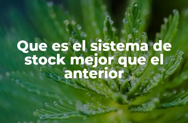 Que es el Sistema de Stock Mejor que el Anterior