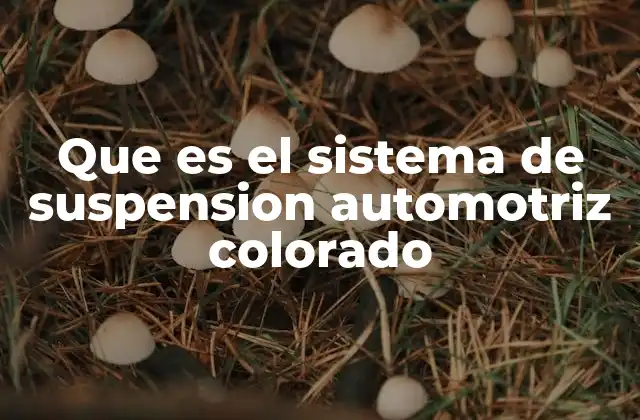 Que es el Sistema de Suspension Automotriz Colorado