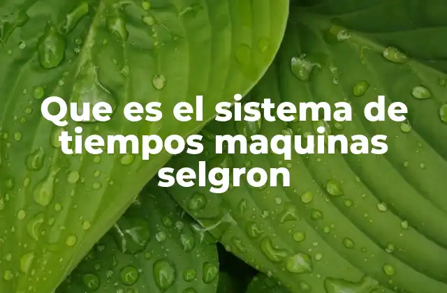 Que es el Sistema de Tiempos Maquinas Selgron 2 Cómo funciona la medición de tiempos en la industria manufacturera