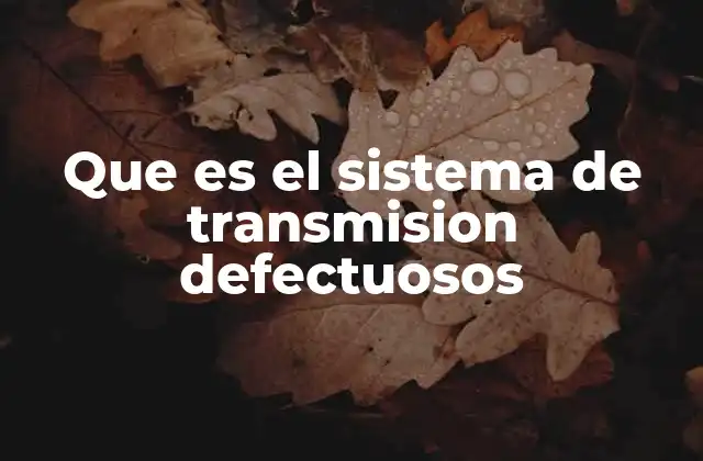 Que es el Sistema de Transmision Defectuosos