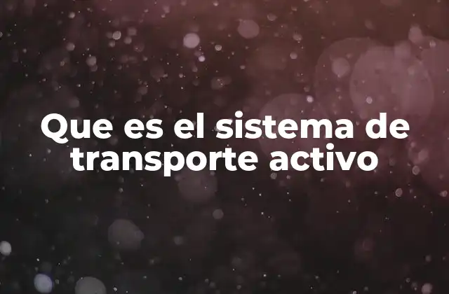 Que es el Sistema de Transporte Activo