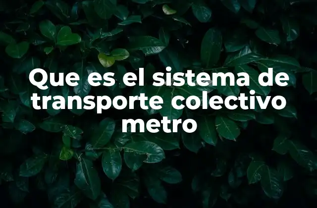 Que es el Sistema de Transporte Colectivo Metro