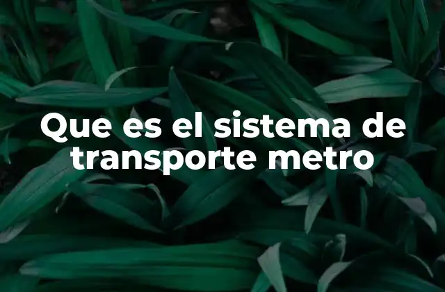 Que es el Sistema de Transporte Metro