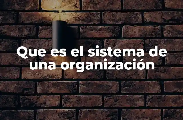 Que es el Sistema de una Organización