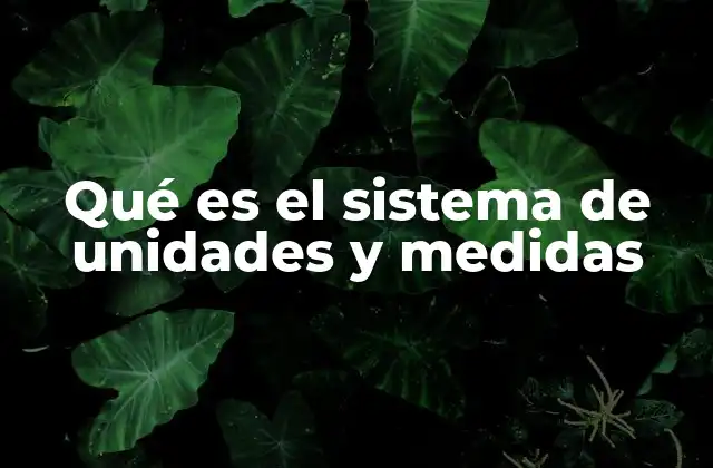 Qué es el Sistema de Unidades y Medidas