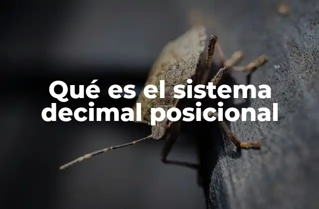 Qué es el Sistema Decimal Posicional 2 La importancia del sistema numérico en la evolución del pensamiento humano